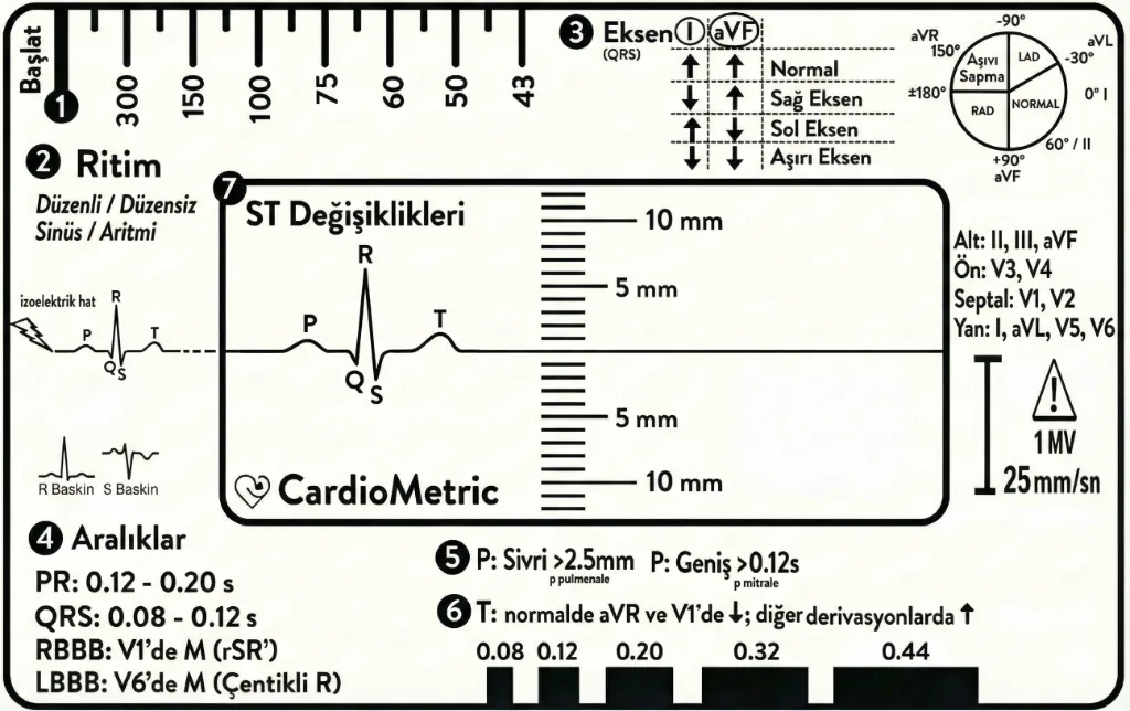 CardioMetric EKG eğitim aparatı